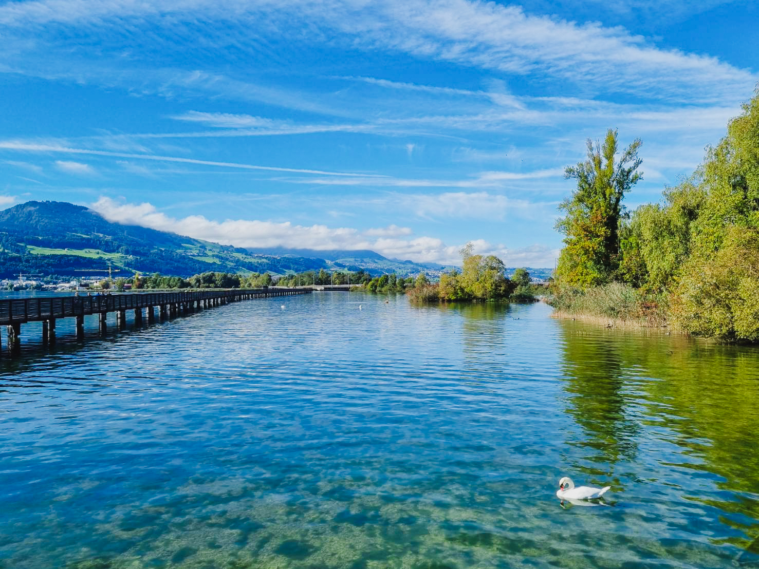 現地の様子 ※お客様撮影