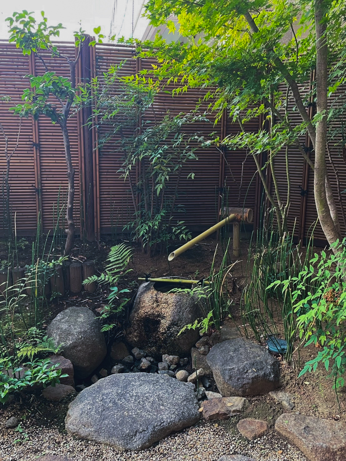 つくばいの筧も青竹に